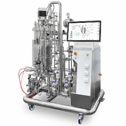 Fermentor