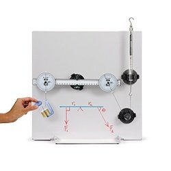 Fundamentals of Statics
