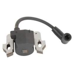 Injection Petrol Engine With Electronic Ignition