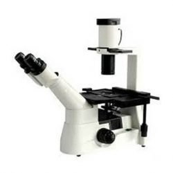 Inverted Trinocular Microscope