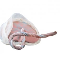 Model of Placenta - Umbilical Cord