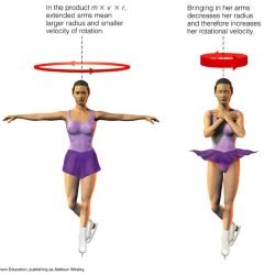 Conservation of Angular Momentum