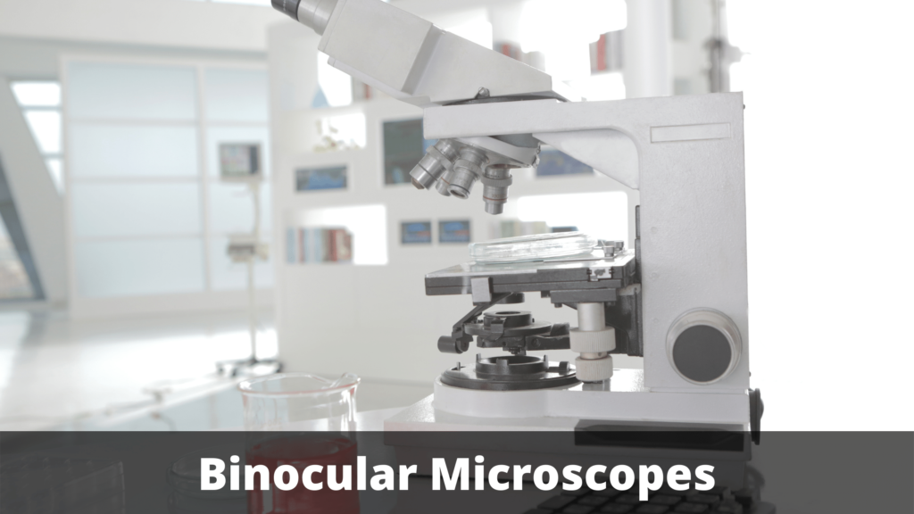 Binocular Microscope