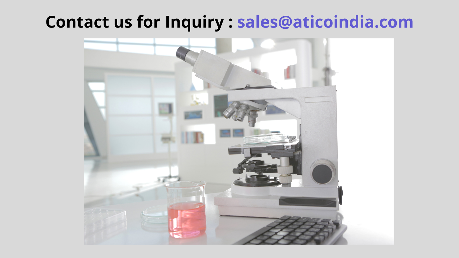 buy Binocular microscopes