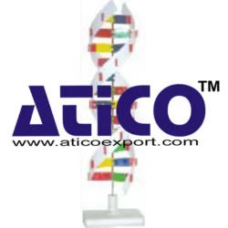 DNA Model